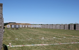 6a2dab546a9e9_IMG8782.JPG